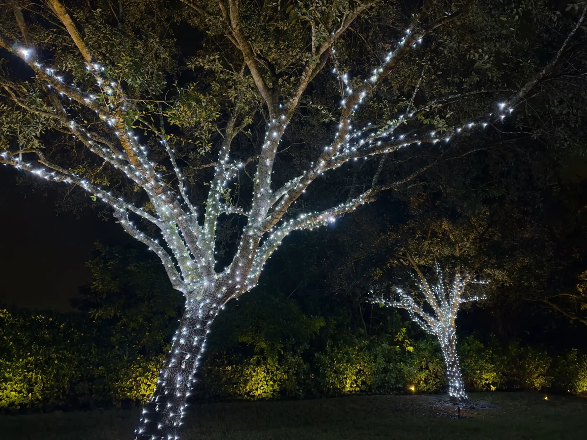 Christmas Light Installation