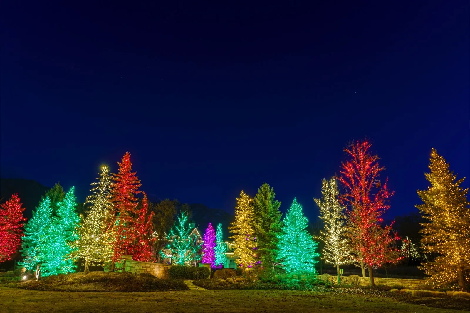 Christmas Tree Lighting in Naples and Southwest Florida