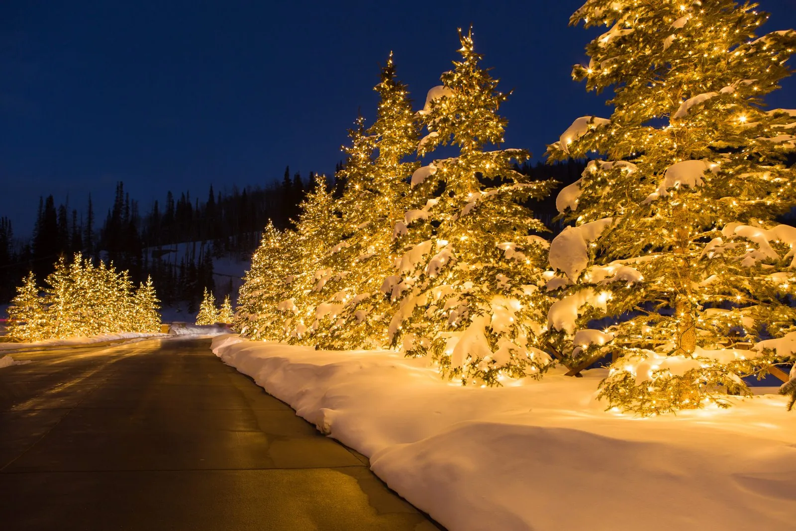 Christmas Lights for Churches & Religious Organizations in Naples and Southwest Florida